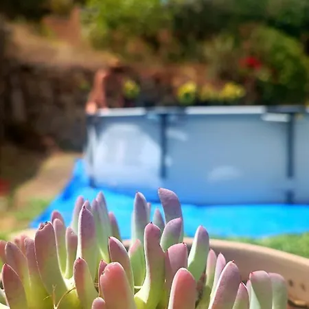 La Casita De La Esperanza Vakantiehuis *